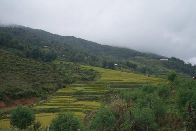 Sapa Full Day Trip to Ta Phin - Cat Cat Village With Lunch - Trekking and Exploring Cat Cat Village
