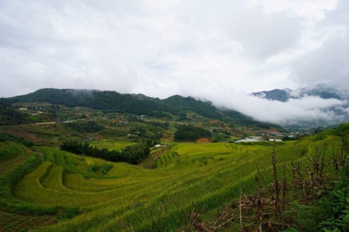 Sapa Full Day Trip to Ta Phin - Cat Cat Village With Lunch - Free Time and Shopping in Cat Cat
