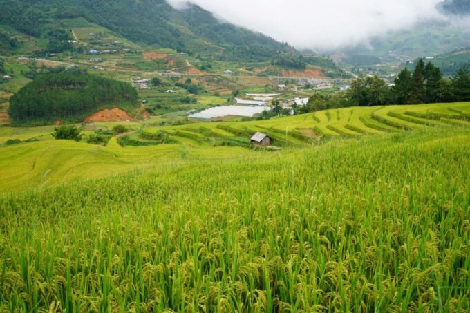 Sapa Full Day Trip to Ta Phin - Cat Cat Village With Lunch - Van Ride Back to Sapa