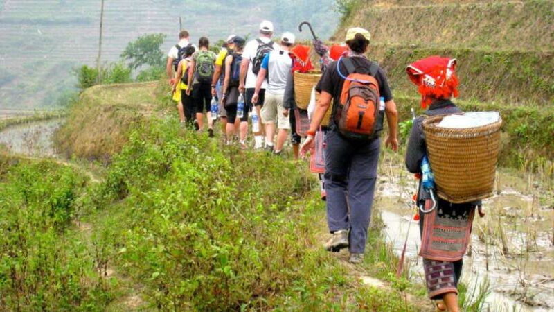 Sapa: Guided Day Trek to Lao Chai & Ta Van - Key Points