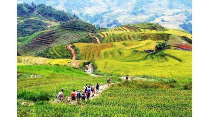 Sapa: Guided Day Trek to Lao Chai & Ta Van - Frequently Asked Questions