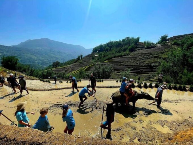 Sapa: Guided Full-Day Trekking Muong Hoa Valley With Lunch - Transportation and Pickup Details