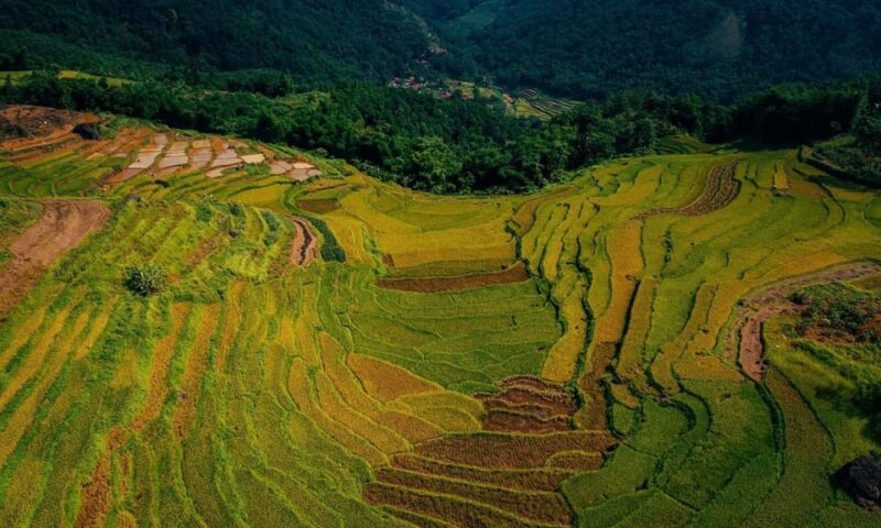 Sapa: Guided Tour With Local Culture and Rice Terraces - Ethnic Minority Communities