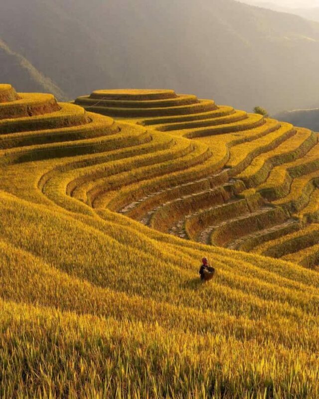 Sapa: Guided Trek with Local Hmong Guide and Lunch - Pricing and Value