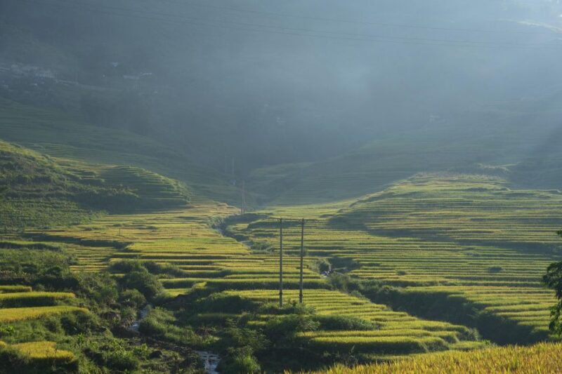Sapa Half Day Hard Trekking Villages Trip With Lunch & Guide - Itinerary Highlights
