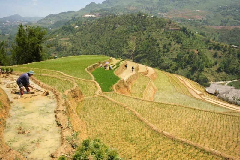 Sapa Half Day Hard Trekking Villages Trip With Lunch & Guide - Included Activities