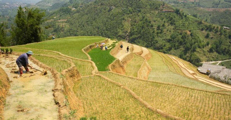Sapa Half Day Hard Trekking Villages Trip With Lunch & Guide - Prohibited Items