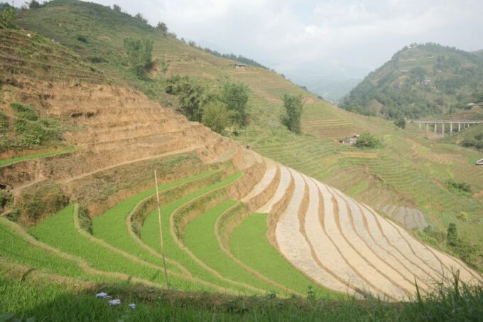 Sapa Half Day Hard Trekking Villages Trip With Lunch & Guide - Frequently Asked Questions