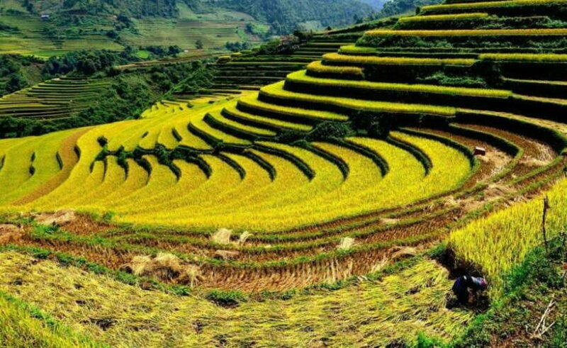 Sapa: Half Day Treck To Visit Y Linh Ho , Lao Chai, Ta Van - Key Points