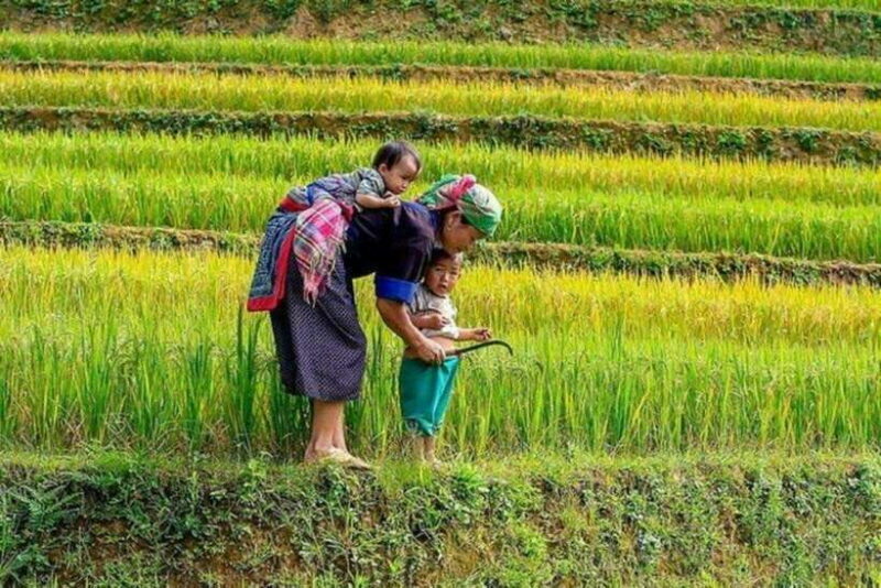 Sapa: Half Day Treck To Visit Y Linh Ho , Lao Chai, Ta Van - Final Thoughts