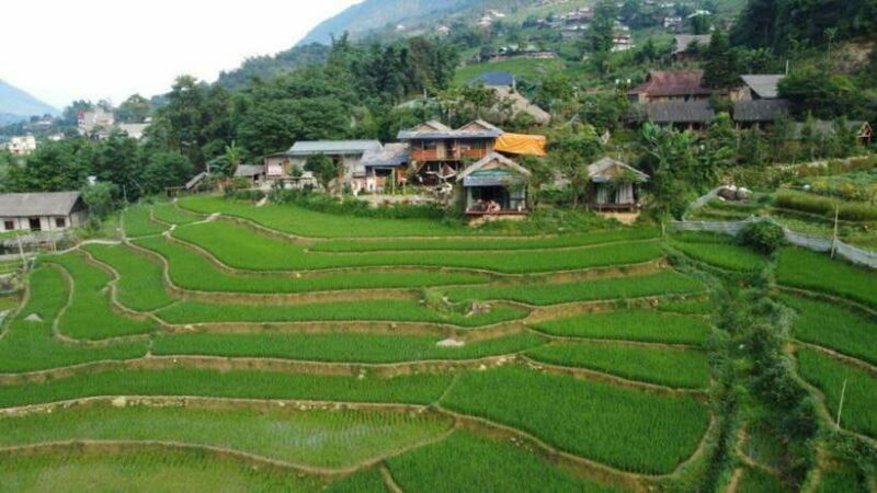 Sapa: Half Day Treck To Visit Y Linh Ho , Lao Chai, Ta Van - FAQs