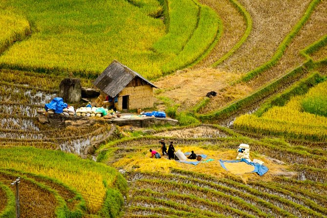 Sapa Hard Trekking Villages 2d/1n: Homestay, Meals, English Speaking Guide - Included Amenities