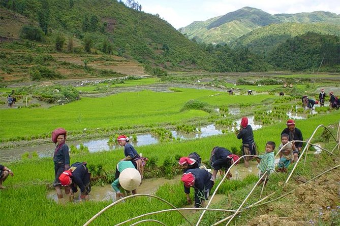 Sapa Hard Trekking Villages 2d/1n: Homestay, Meals, English Speaking Guide - Trekking Through Lao Chai and Ta Van
