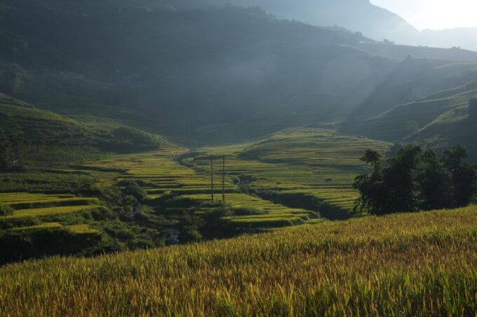Sapa Hard Trekking Villages and Homestay 2 Days 1 Night Trip - Lunar New Year Surcharge