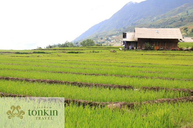 Sapa Hard Trekking Villages Homestay 3days/ 2nights Tour - Amazing Culture - Tour Overview