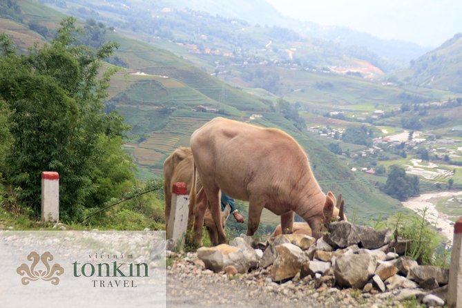 Sapa Hard Trekking Villages Homestay 3days/ 2nights Tour - Amazing Culture - Lunar New Year Surcharge
