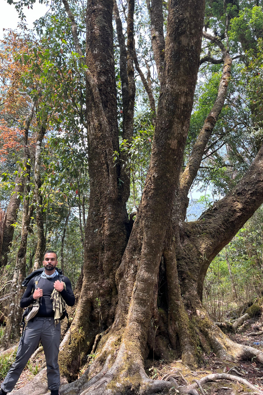 Sapa Hiking Tour : Fansipan 1day Hike Fansipan 2days - Local Insights and Cultural Significance
