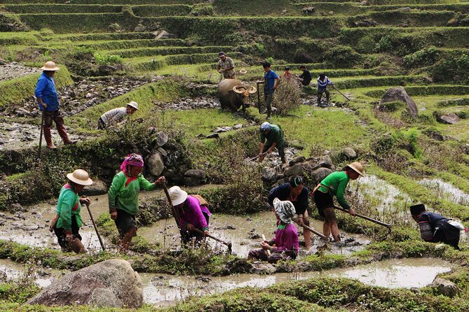 Sapa Hmong Family Trekking Adventures - Cancellation and Pricing Information