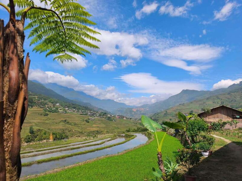 Sapa: Long Trekking Going to Mountain& Hmong Village - Customer Experience and Feedback