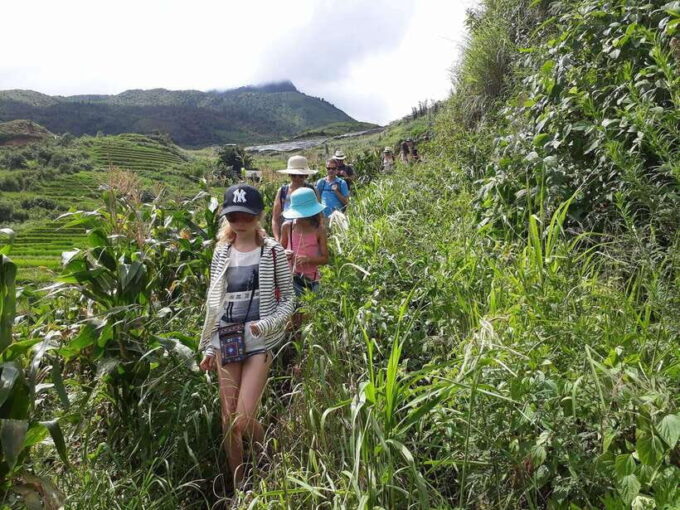 Sapa: Love Silver Waterfall, LonelyTree in Heaven-Rice Field - Customer Feedback and Ratings