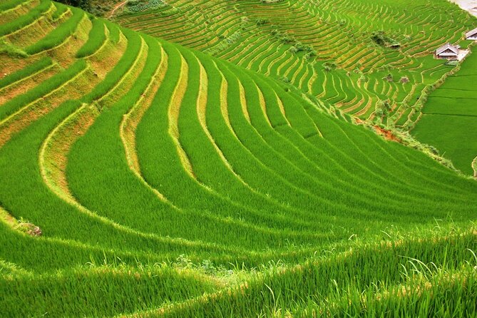 Sapa Most Beautiful Day Tour (Y Linh Ho - Lao Chai - Ta Van) - Accessibility