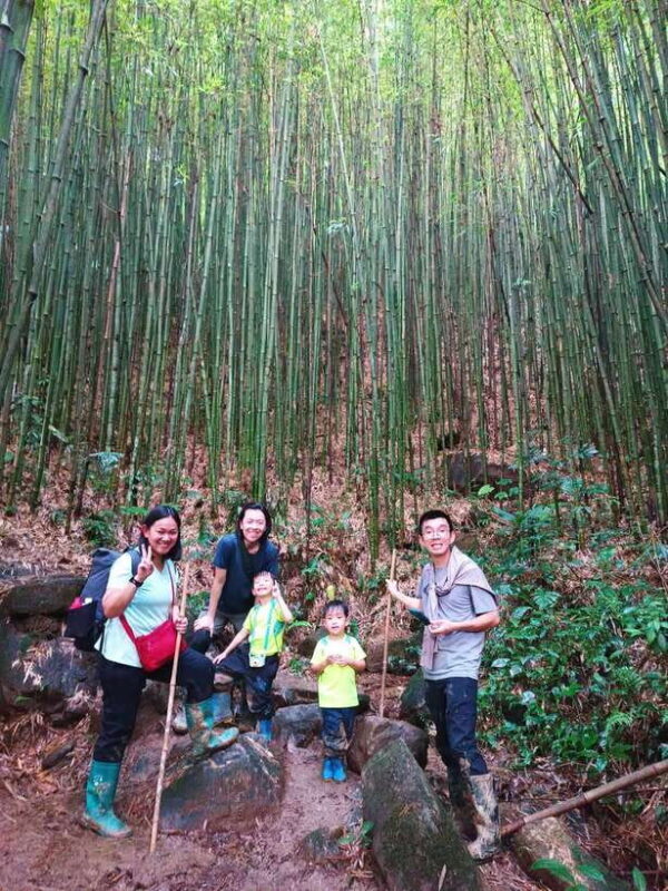 Sapa: Motorbike Adventure With Red Dao Homestay Experience - Trekking Through Scenic Landscapes