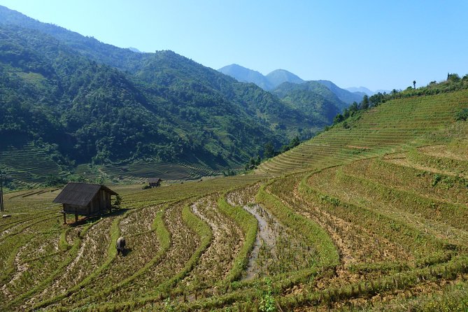 Sapa Motorbike Tour - 1 Day - From Heaven Gate To Muong Hoa Valley - Meeting and Pickup