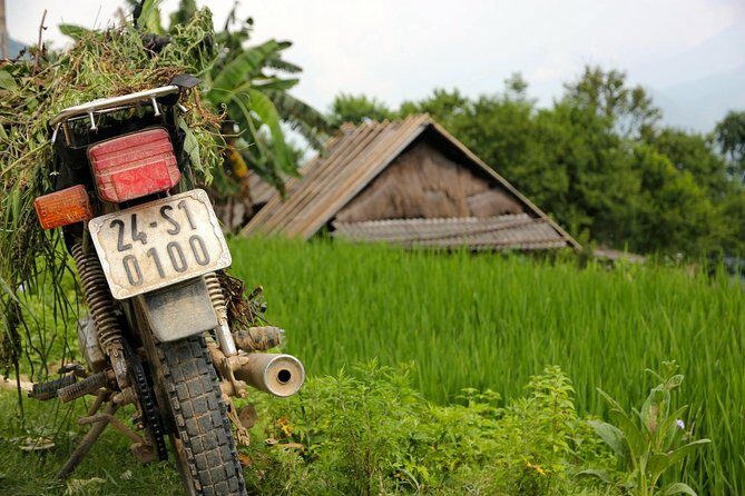 Sapa Motorbike Tour 1 Day| See All Of Rice Fields & Valleys in One Day - The Practical Side: What to Expect