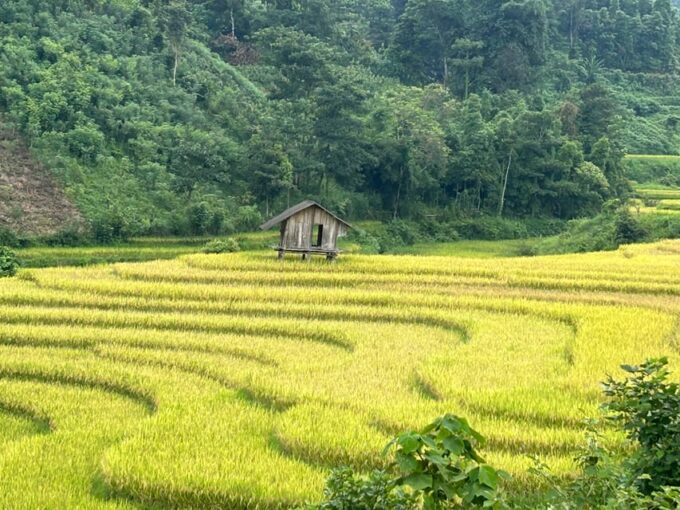 Sapa: Motorbike Tour 1 Day Visit Waterfalls & Local Villages - Frequently Asked Questions