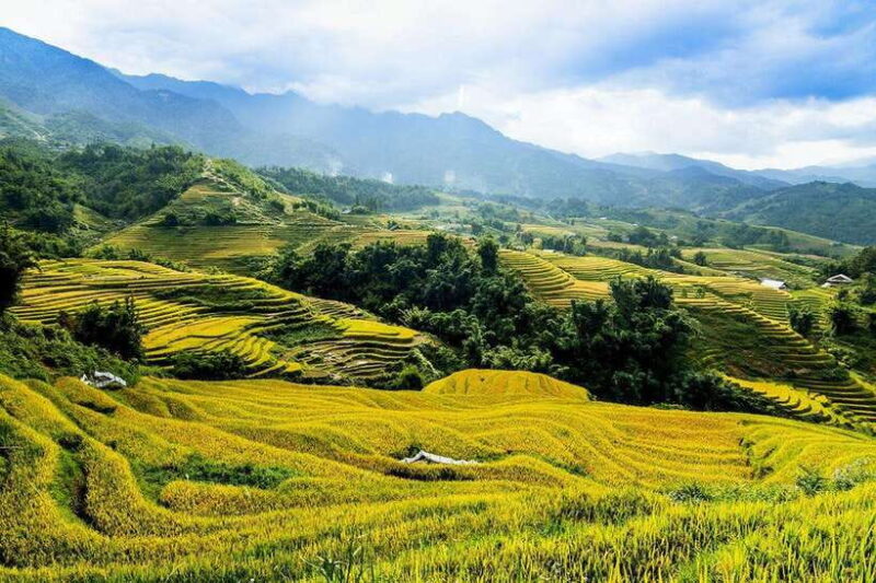 Sapa: Motorbike Tour to Drgon Waterfall - Tour Experience