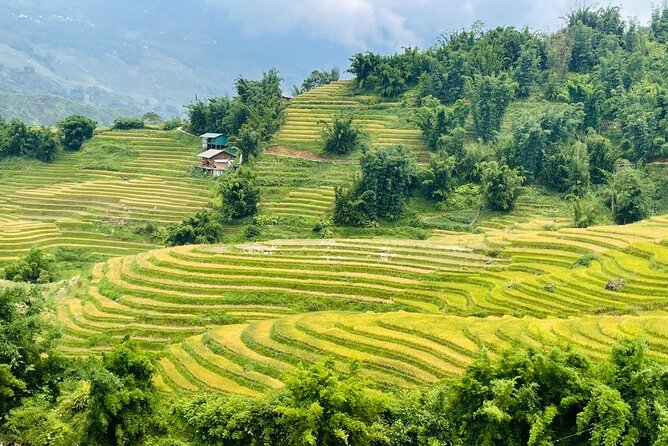 Sapa Motorbike Tour With Local Guide 1 Day - Tour Highlights