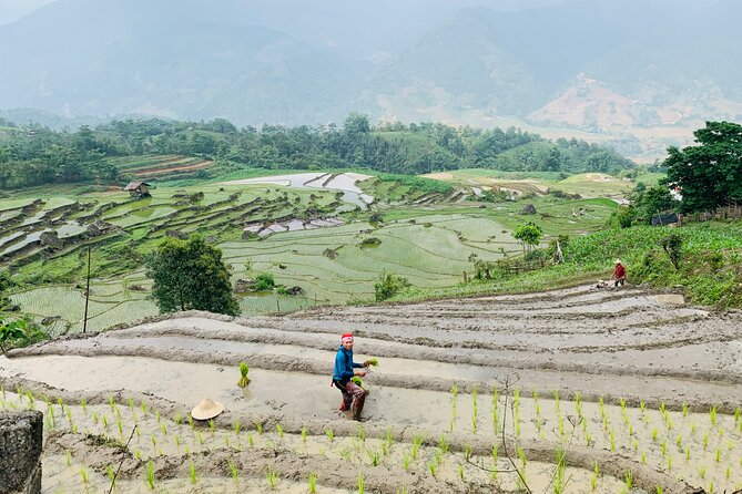 Sapa Motorbike Tour With Local Guide 1 Day - What to Expect