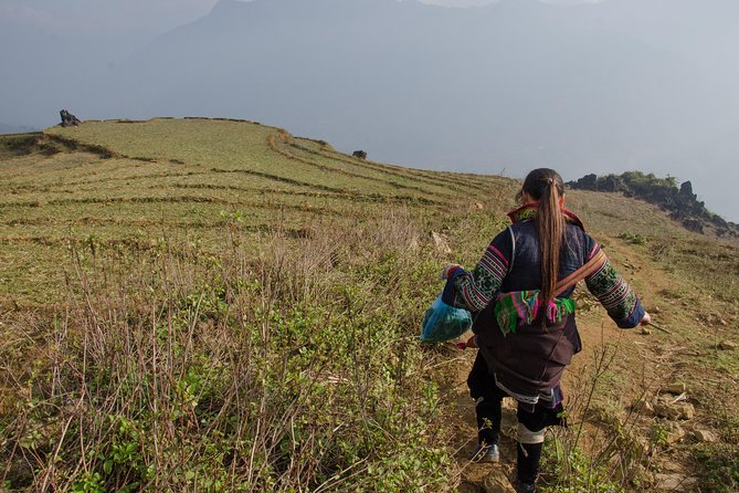 Sapa Mountain View and Villages Trek - Guided Tours and Experiences