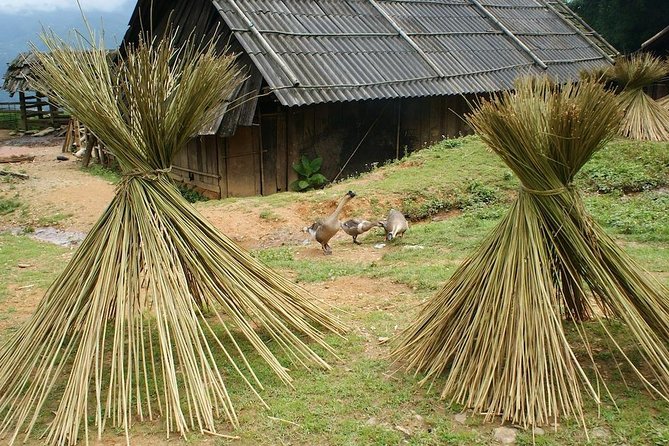 Sapa Mountain View and Villages Trek - Trekking and Hiking Tours