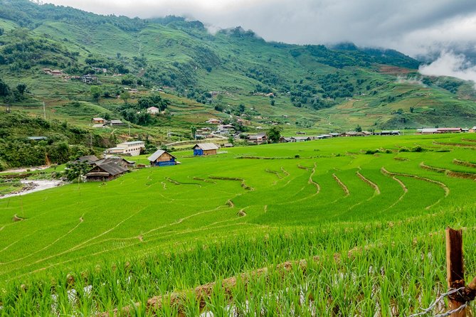 Sapa, Muong Hoa Valley - 1 Day Hiking & Cultural Experience - Morning Hike