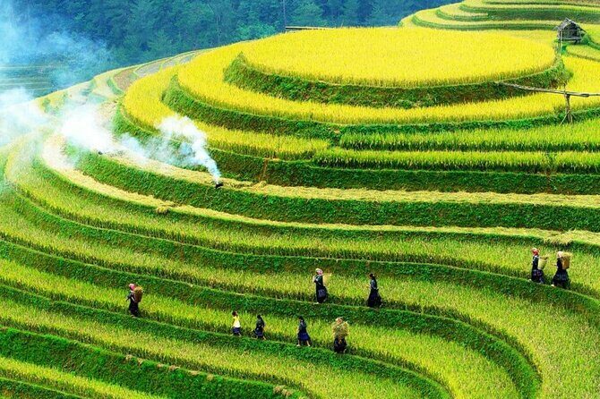 Sapa Muong Hoa Valley & Ta Van Eco Village Scenic Tour (No Trek) - Key Points