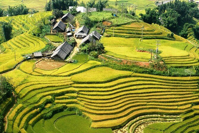 Sapa Muong Hoa Valley & Ta Van Eco Village Scenic Tour (No Trek) - An In-Depth Look at the Experience