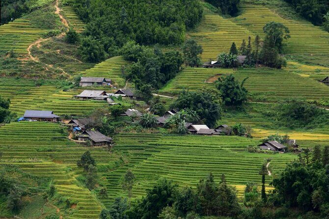 Sapa Muong Hoa Valley & Ta Van Eco Village Scenic Tour (No Trek) - Frequently Asked Questions