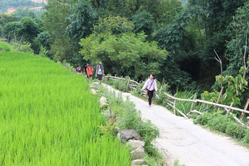 Sapa Package Tour 2 Days 1 Night From Hanoi - Trekking to Y Linh Ho and Lao Chai