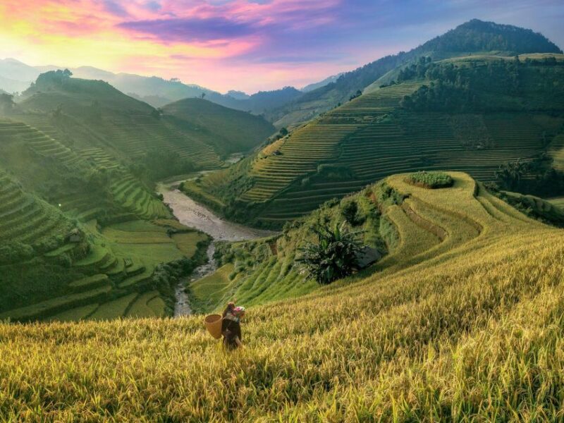 Sapa Package Tour 2 Days 1 Night With Trekking - Highlights of the Tour