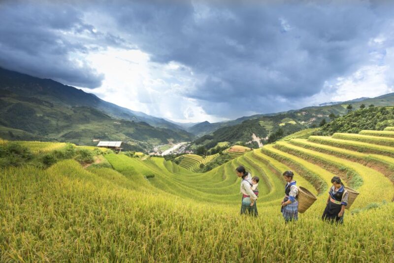 Sapa Package Tour 2 Days 1 Night With Trekking - Trekking Through Villages and Terraces