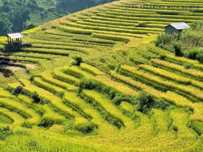 Sapa: Private Muong Hoa Valley and Homestay Trekking 2-Day - Itinerary: Day 1