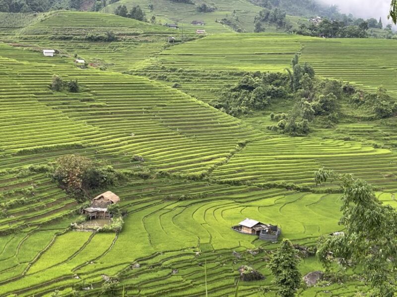 Sapa: Private Muong Hoa Valley and Homestay Trekking 2-Day - Inclusions