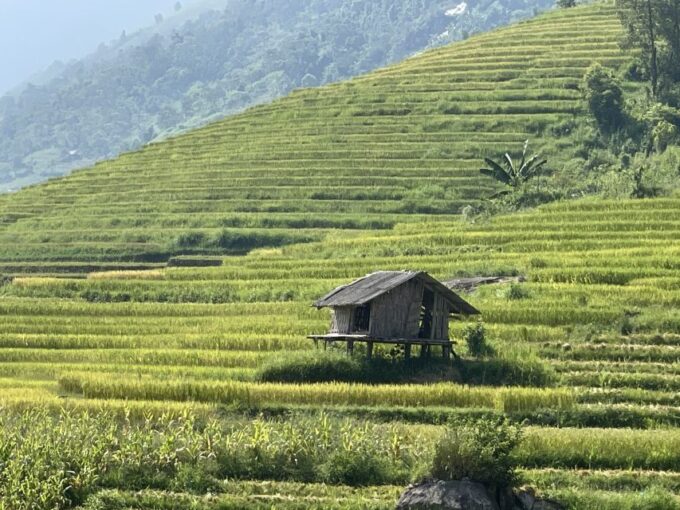 Sapa: Private Muong Hoa Valley and Homestay Trekking 2-Day - Booking and Availability