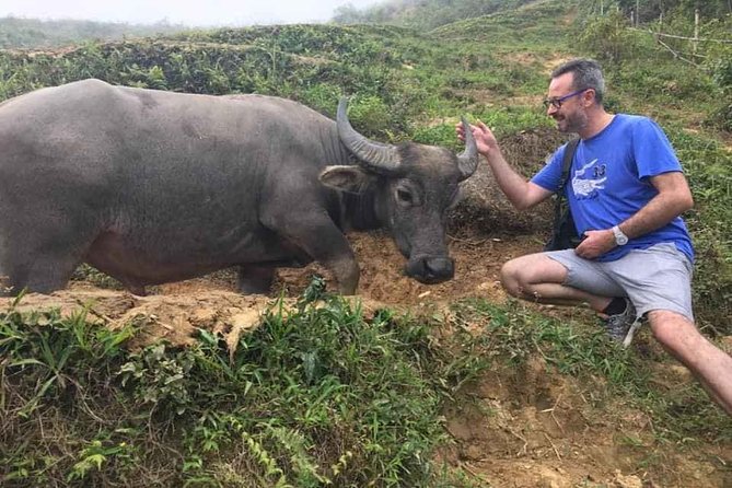 Sapa Private: One Day of Funny Buffalo Ride & Trekking Tour - Tour Overview