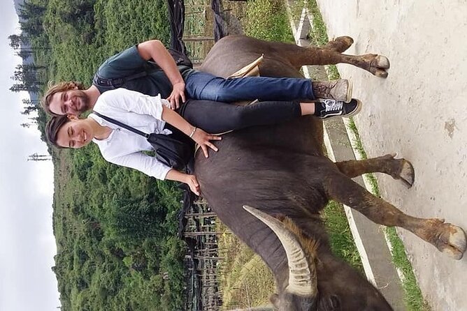 Sapa Private: One Day of Funny Buffalo Ride & Trekking Tour - Inclusions and Exclusions