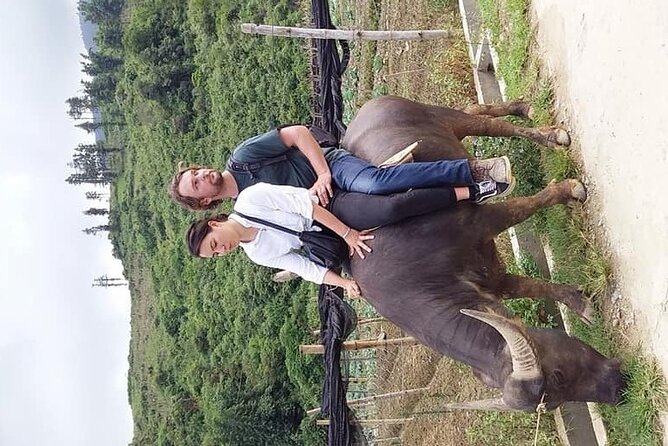 Sapa Private: One Day of Funny Buffalo Ride & Trekking Tour - Reviews and Ratings