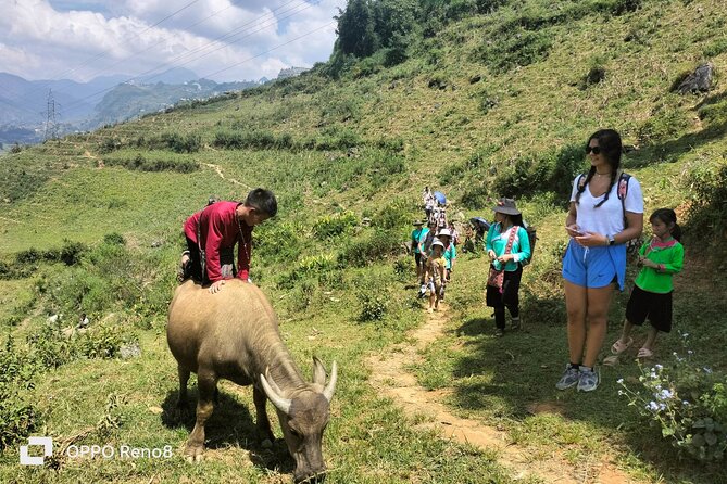 Sapa Private: One Day of Funny Buffalo Ride & Trekking Tour - Riding the Mighty Buffalo