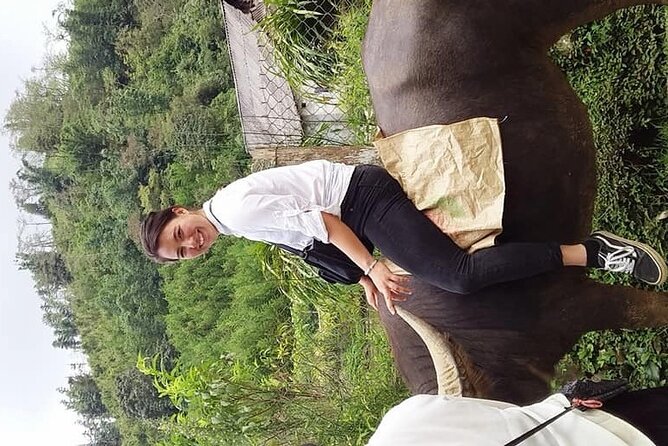 Sapa Private: One Day of Funny Buffalo Ride & Trekking Tour - Trekking Through Rice Fields