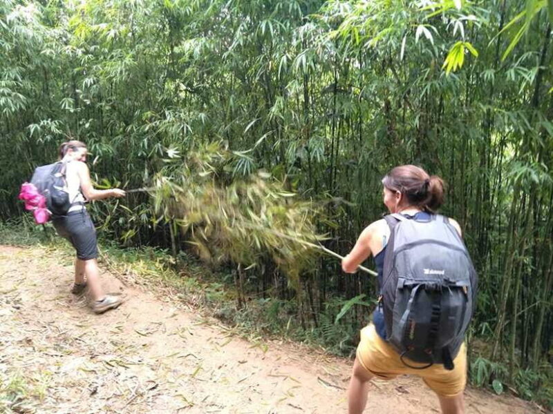 Sapa: Private Trek to Muong Hoa Valley - Important Information